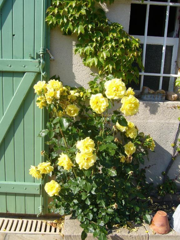 Chambres D'Hotes Le Mas Aire-sur-lʼAdour 외부 사진